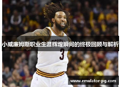 小威廉姆斯职业生涯辉煌瞬间的终极回顾与解析