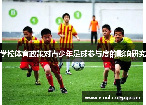 学校体育政策对青少年足球参与度的影响研究